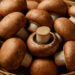 Mushrooms as Meat Alternatives: A Delicious Revolution